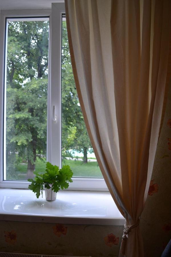 Квартира Двохкімнатна Фонтан Apartment Kamianets Podilskyi Bagian luar foto