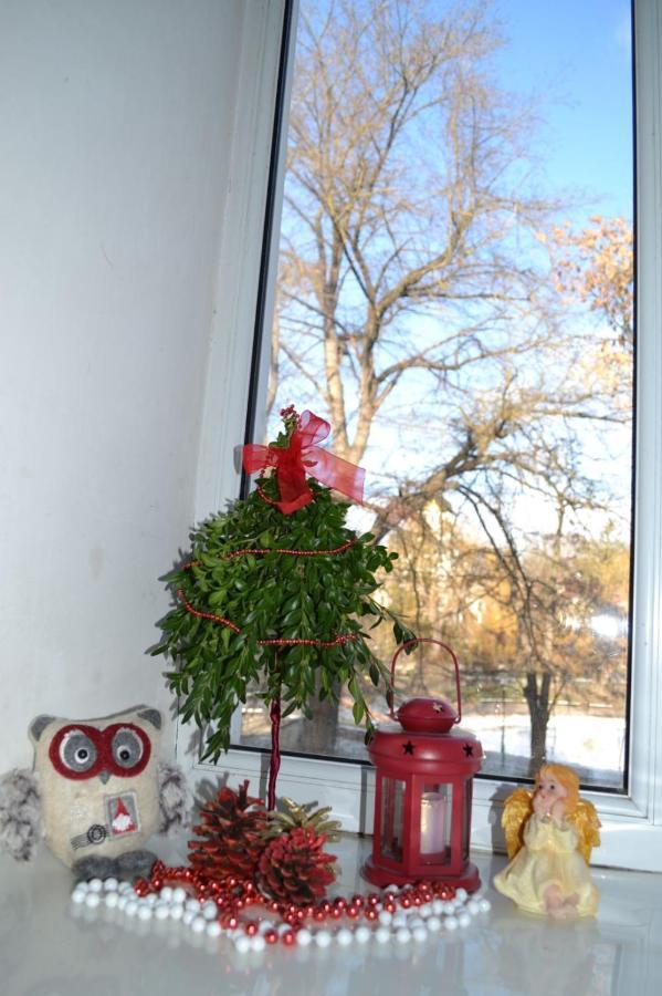 Квартира Двохкімнатна Фонтан Apartment Kamianets Podilskyi Bagian luar foto