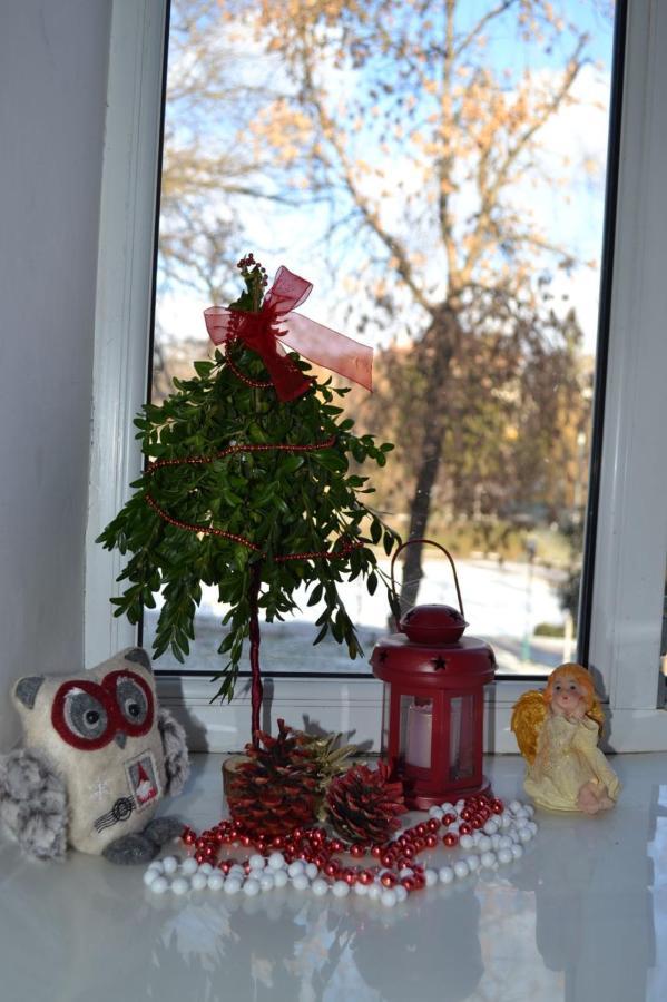 Квартира Двохкімнатна Фонтан Apartment Kamianets Podilskyi Bagian luar foto