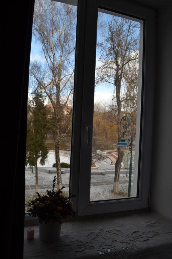 Квартира Двохкімнатна Фонтан Apartment Kamianets Podilskyi Bagian luar foto