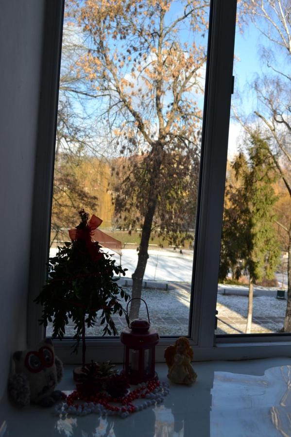 Квартира Двохкімнатна Фонтан Apartment Kamianets Podilskyi Bagian luar foto